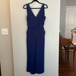 Wilfred x Aritzia Ecoulement wide leg jumpsuit